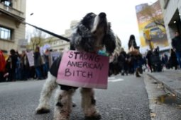 A dog sports a sign during a march in central Barcelona on January 21, 2017 in a mark of solidarity for the political rally promoting the rights and equality for women, Women's March on Washington, taking place today in the US capital. / AFP / LLUIS GENE (Photo credit should read LLUIS GENE/AFP/Getty Images)